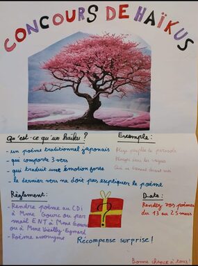 affiche concours.jpeg